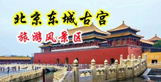 淫水四溢的小嫩b中国北京-东城古宫旅游风景区